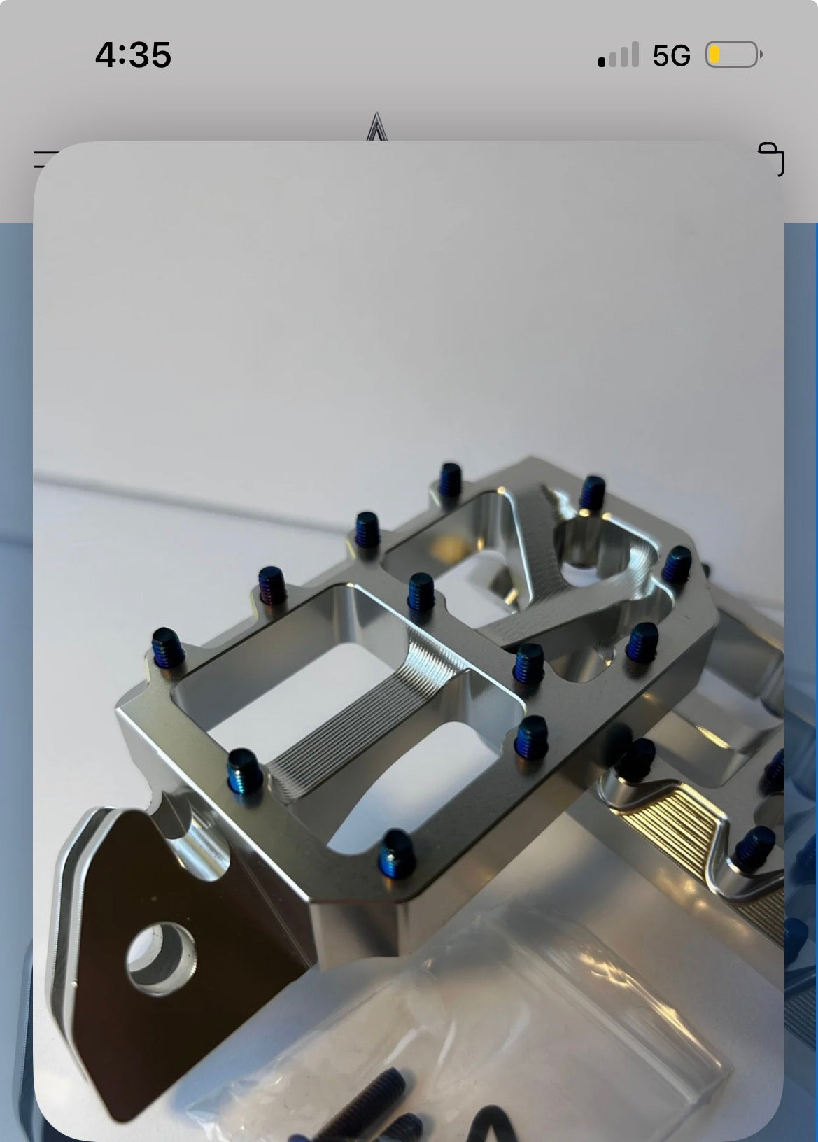 Silver pegs